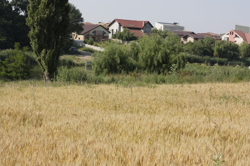 Corbeanca, Balotesti,