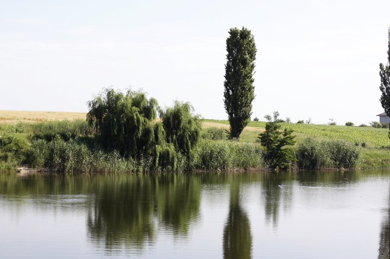 Corbeanca, Balotesti,