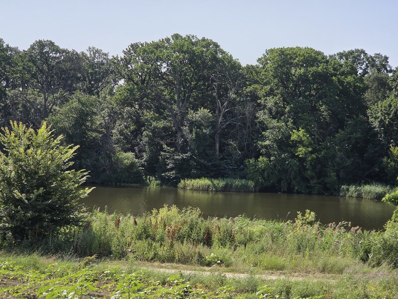 Corbeanca, Balotesti,