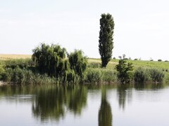 Corbeanca, Balotesti